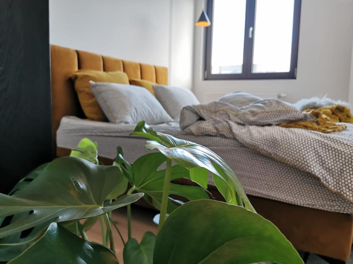 The Penthouse, Oasis Of Light And Inspiration Apartment Антверпен Екстериор снимка